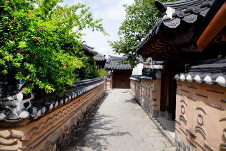 Development of agricultural management