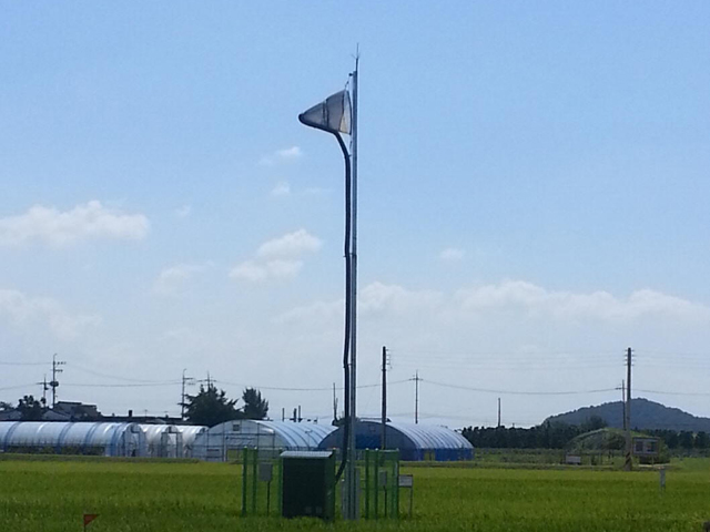 Photo of the field