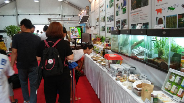 Photo of exhibition.
