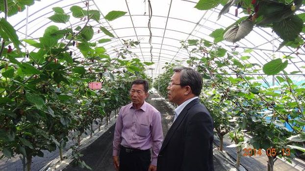 Picture of conversation in the greenhouse.