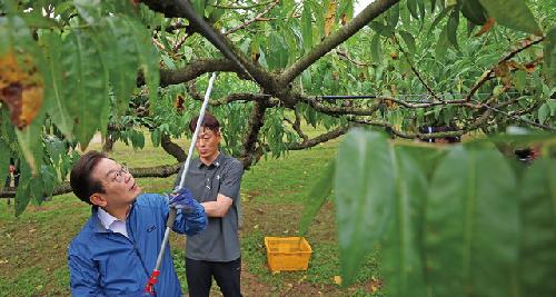 “농업 지속성 위태…청년에 지원·예산 집중을”