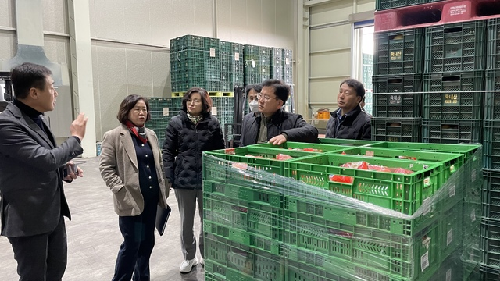 봄배추 90일 저장해도 거뜬…여름배추 수급안정 ‘기대감’