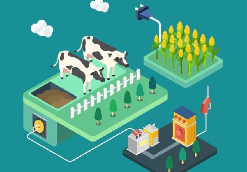 농민이 줄인 온실가스 ‘상품화’…민간시장서 사고 판다