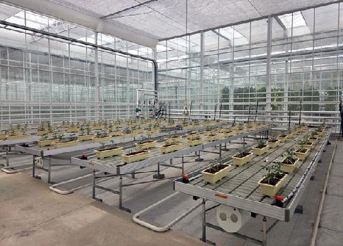 이산화탄소 농축해 하우스에 넣으니 작물이 ‘쑥쑥’