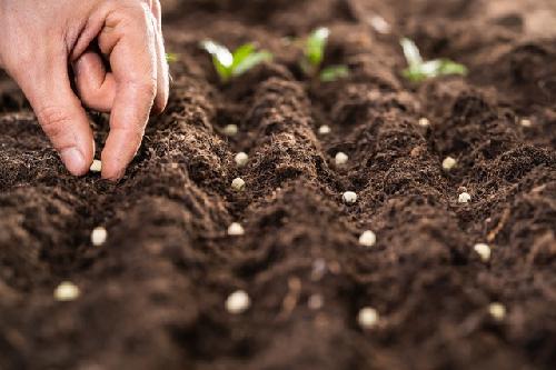 “사람 눈보다 300배 빠르다”…OO특성 11가지 1초만에 뚝딱 확인