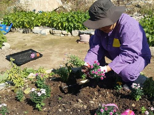 “치유농업 효과, 수치로 파악하세요”…농진청, 표준평가기준 첫 제시