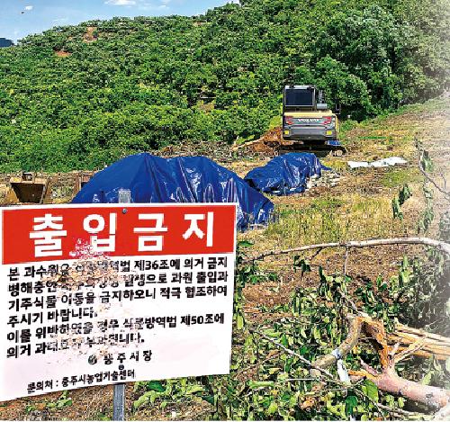 과수화상병 6개월 만에 ‘관심’ 단계로 하향