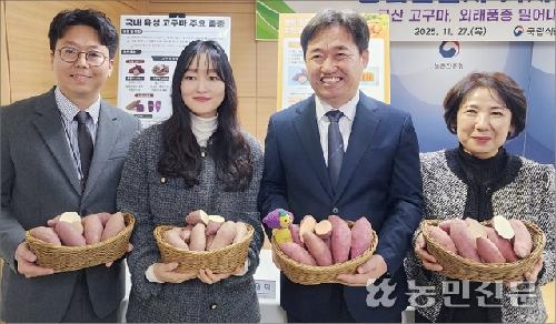 국산 고구마 시대 열리나…점유율 ‘껑충’