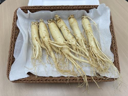 인삼·생강·계피·당귀·황기…‘온성약초’ 5종으로 겨울철 체온 유지하세요