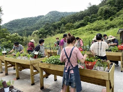 치유농업시설 91곳 첫 인증…“전문 서비스로 국민 건강 증진에 기여”