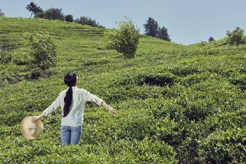 “치유여행 이끈다”…‘웰니스 관광 거점’ 6곳 어디?