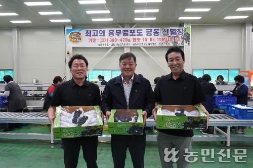 남원 지리산농협, 고랭지 일교차로 폭염 이겨낸 달콤한 포도로 ‘주목’