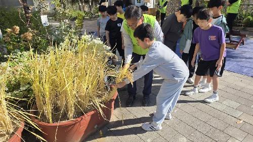 “학교 운동장에서 벼 수확해요”…서울서 ‘움직이는 논밭학교’ 열려