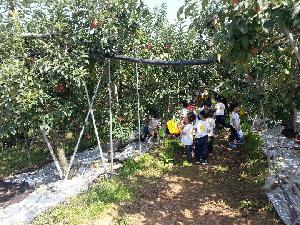 김제봉남용인농원