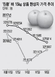 [한눈에 보는 시세]‘원황’ 배 출하량 증가로 ‘내림세’