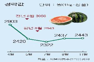 [한눈에 보는 시세] 수박, 폭우·폭염 여파…품위 떨어져 ‘약세’ 전환