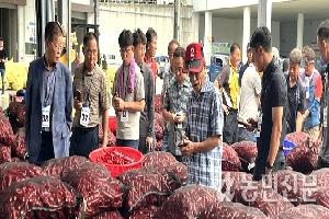 [산지 확대경] 홍고추·건고추, 물량·시세 작년 수준…늦장마·태풍 등 변수