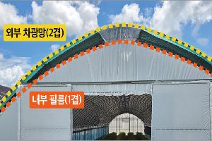 폭염에 타는 인삼…‘두겹 지붕’이 살렸다