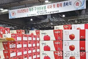 햇사과 ‘홍로’ 초반 시세 강세