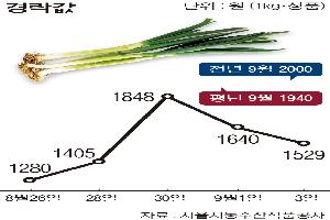 [한눈에 보는 시세] 대파, 재배면적 확대로 출하량 늘어 ‘약세’