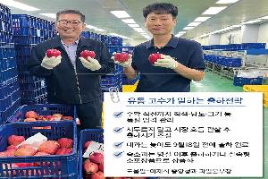 사과, 작황 대체로 좋아 추석대목 물량 충분…대과 비중은 적을 듯