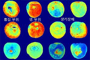 사과 속살까지 꿰뚫어 본다…‘초분광’ 품질 판별 기술 확보