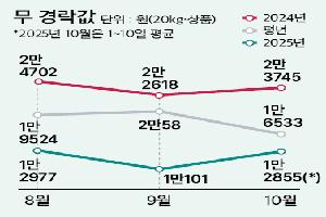 ‘고랭지무’ 물량 늘고 품위저하…값 반토막