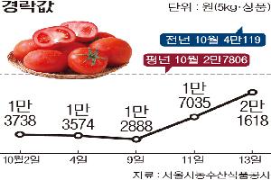 [한눈에 보는 시세] 토마토, 출하량 줄어 반짝 반등…이달말 떨어질 듯