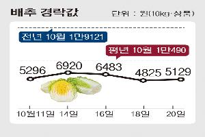 김장철 배추·무 수급 이상 없을 듯