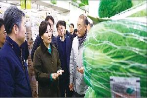 시세 엇갈린 김장철 ‘양념채소’…깐마늘 ‘강세’