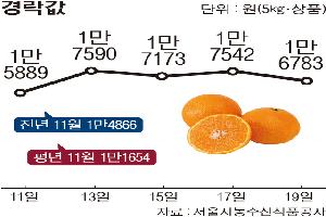 [한눈에 보는 시세] 감귤 ‘유라’ 판매 호조·딸기 출하 지연에 ‘강세’