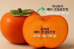 살보다 껍질이 더 영양 풍부…단감, 눈 건강·항산화에 도움