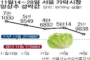 양상추 ‘실종사태’…대란? “일시적 현상”