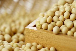 ‘GMO 완전표시제’ 입법 코앞…국산 콩 활력 찾을까