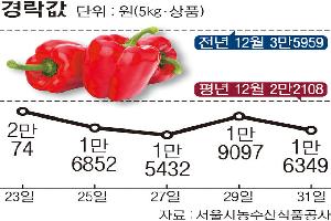 파프리카, 일조량 늘어 생육 좋아…반입량 증가 ‘약세’