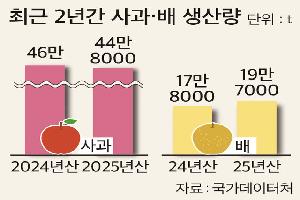 2025년 ‘사과’ 생산량 전년보다 2.6% 감소