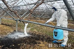 “과수 언피해 예방”…‘전용 수성페인트’ 나왔다
