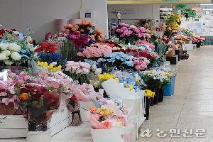 이른 졸업식…절화류 시세 하락