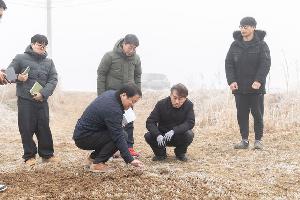 일부 동계사료 재배지 생육 부진…눌러주기 작업으로 뿌리 들뜸 막아야