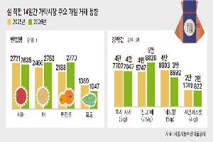 사과·배·만감류 웃고 샤인머스캣 울었다