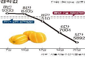 [한눈에 보는 시세] 참외, 출하량 늘고 명절 전후 추가구매 없어 ‘약세’