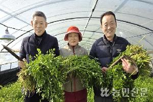 ‘육동미나리’ 브랜드화…상큼한 맛 방문객 사로잡아