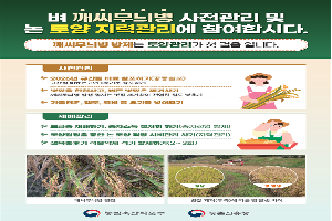 벼 깨씨무늬병 예방 효과…“3월 중하순 토양개량제 투입을”