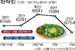 [한눈에 보는 시세] 봄동, 사회적 열풍에 홍수출하로 값 출렁
