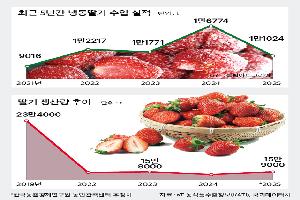 냉동딸기 수입 증가…‘국산 중하품 가공’ 시급