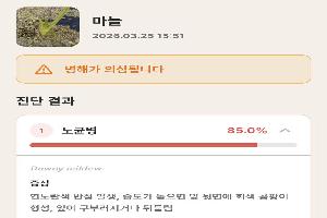 사진 찍으면 병해충 원인·약제 제시…AI 진단서비스 ‘눈길’