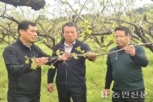 ‘롤러코스터 날씨’ 탓…과수농가 저온피해 확산