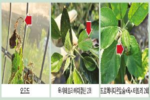 사과·배 농가 ‘주의’…‘요오드 제품’ 과수화상병 방제 효과 없다
