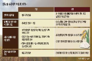 ‘정부 쌀 시장격리’ 발동기준 구체화…“최저가격 지지장치 필요”