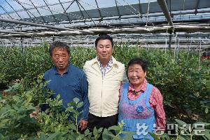 서익산농협, 블루베리 육성사업으로 농가소득 견인